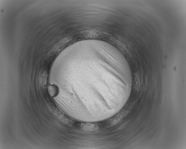 X0000085010230200703261203