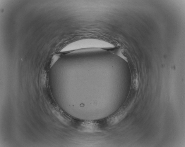 X0000085010231200703261203