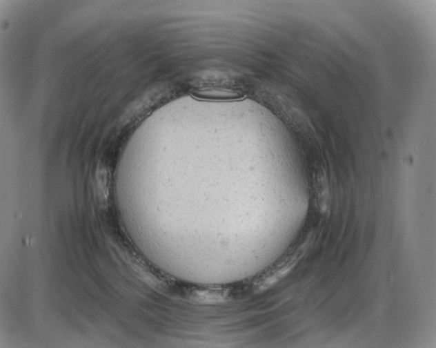 X0000085010232200703261203