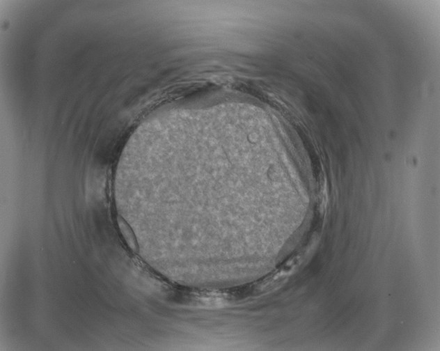 X0000085010233200703261203