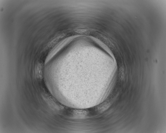 X0000085010234200703261203