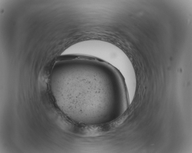 X0000085010235200703261203