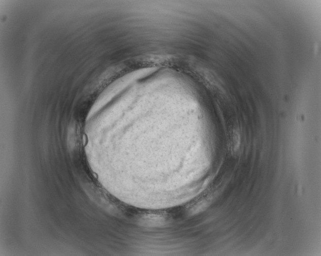 X0000085010236200703261203