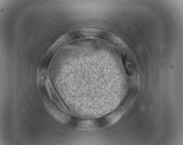 X0000085010237200703261203