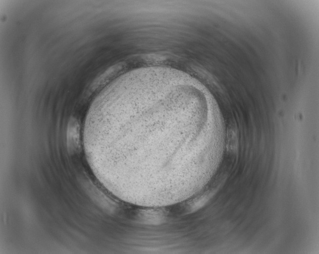 X0000085010238200703261203