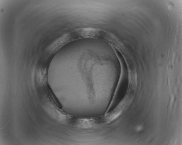 X0000085010239200703261203