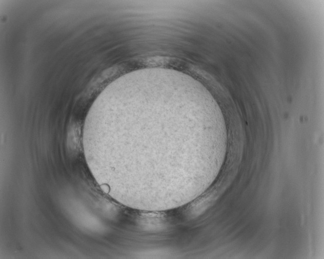 X0000085010240200703261203