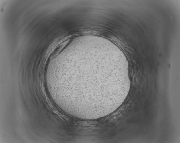 X0000085010241200703261202