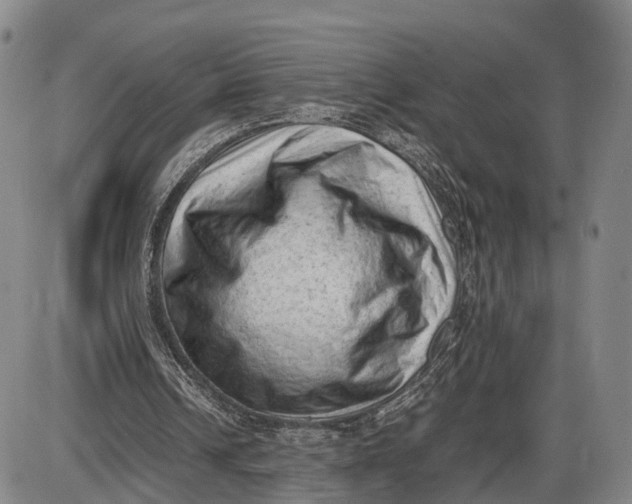 X0000085010242200703261202