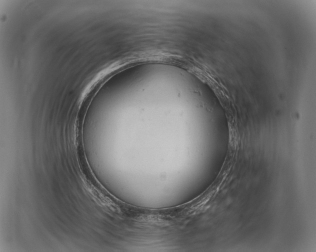 X0000085010244200703261202