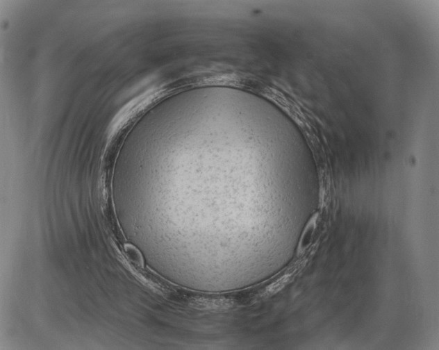 X0000085010245200703261202