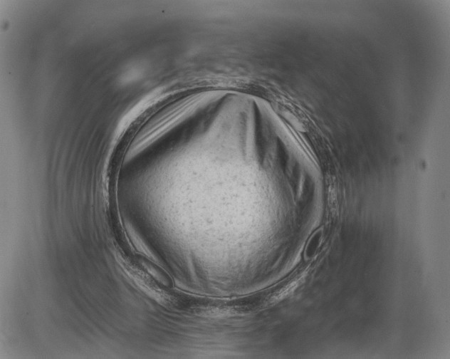 X0000085010246200703261202