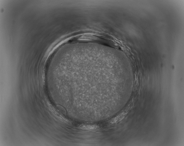 X0000085010247200703261202