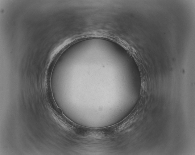 X0000085010248200703261202