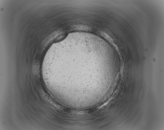 X0000085010249200703261202