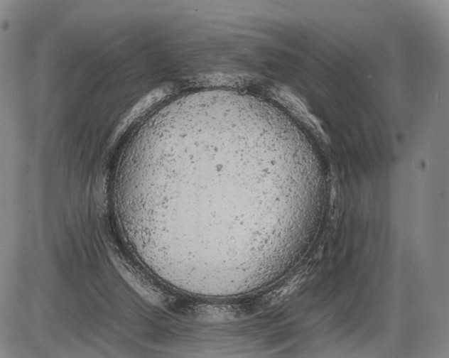 X0000085010250200703261202