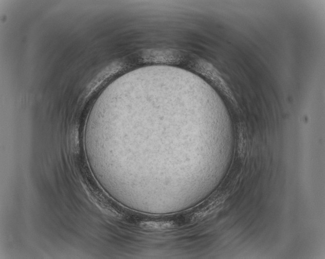 X0000085010251200703261202