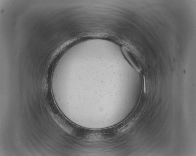 X0000085010252200703261202