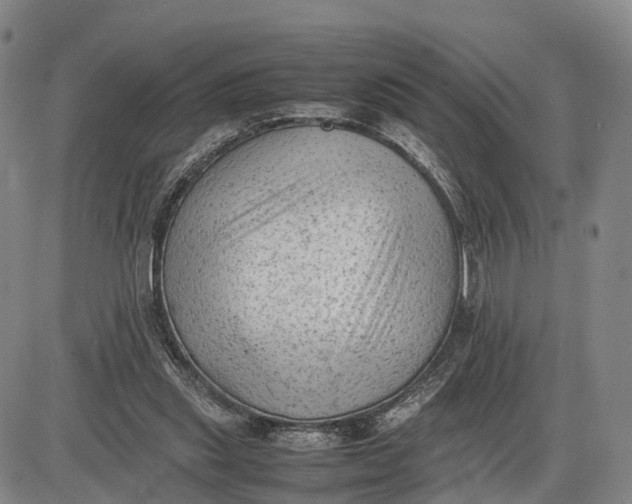 X0000085010253200703261202