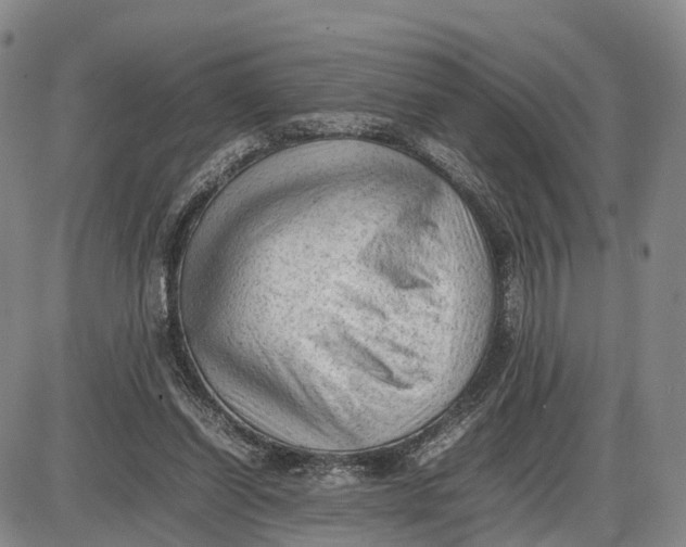 X0000085010254200703261202