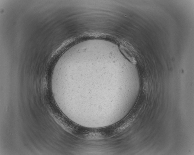 X0000085010256200703261202