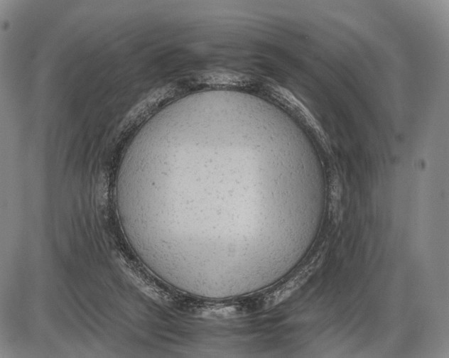 X0000085010257200703261202