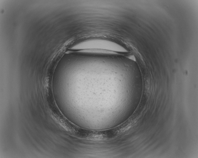 X0000085010260200703261202