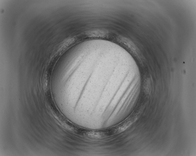 X0000085010261200703261202