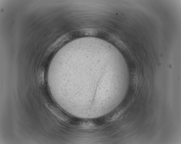 X0000085010262200703261202