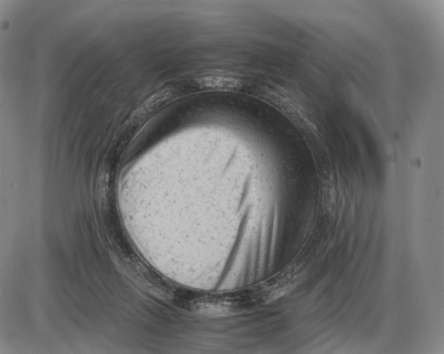 X0000085010263200703261202