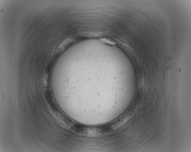 X0000085010264200703261202