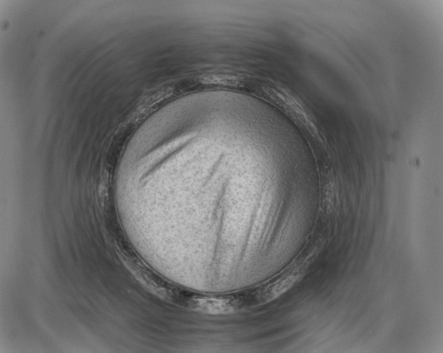 X0000085010265200703261202