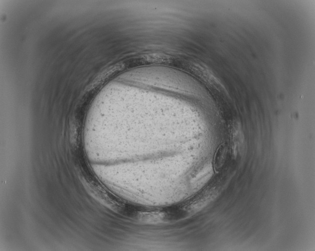 X0000085010266200703261202