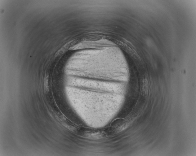 X0000085010267200703261202