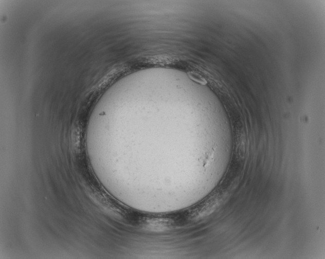 X0000085010268200703261202