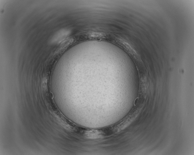 X0000085010269200703261202