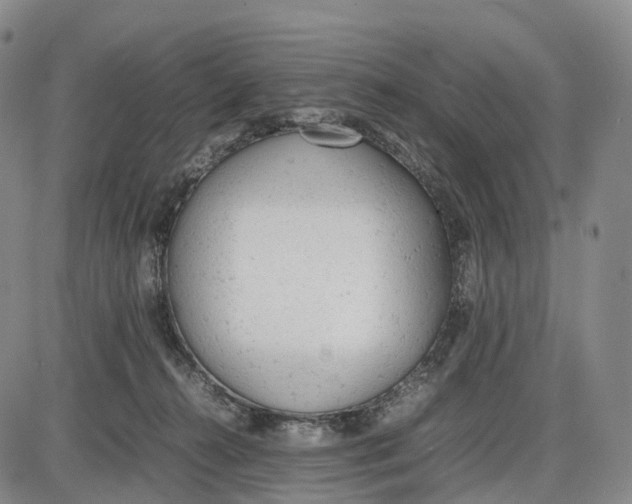 X0000085010272200703261203