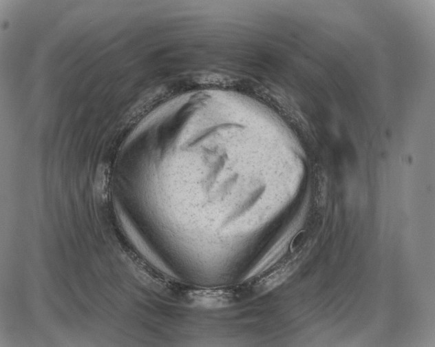 X0000085010273200703261203