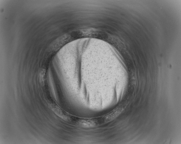 X0000085010275200703261203