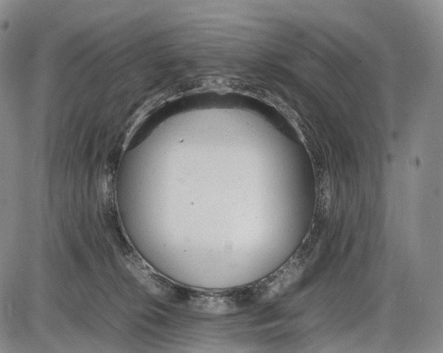 X0000085010276200703261203