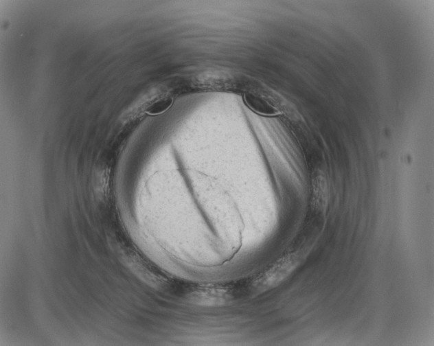 X0000085010278200703261203