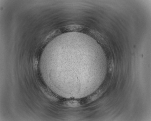 X0000085010279200703261203