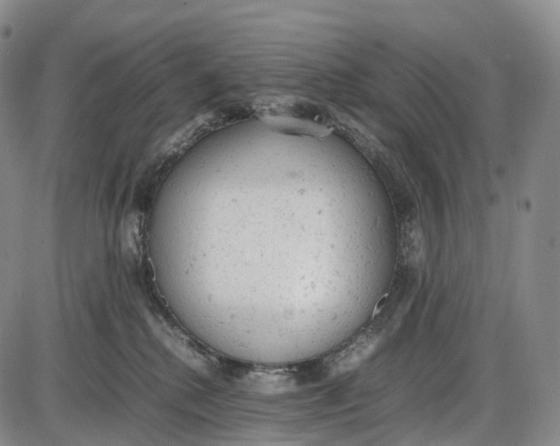 X0000085010280200703261203