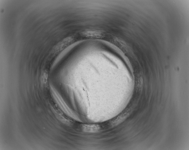 X0000085010281200703261203