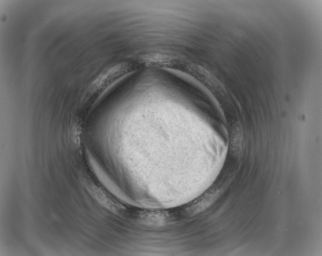 X0000085010282200703261203