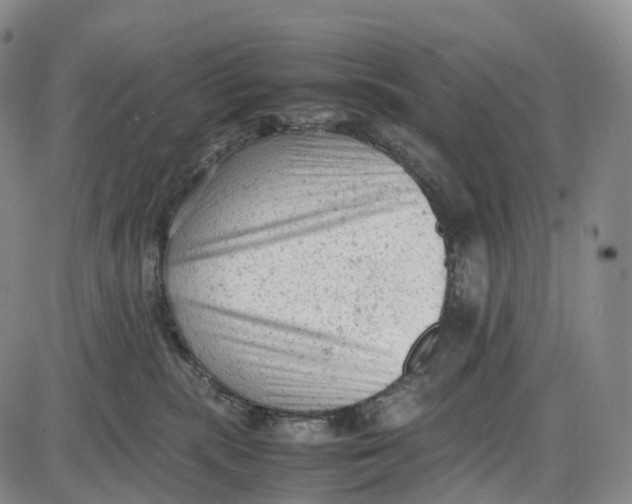 X0000085010283200703261203