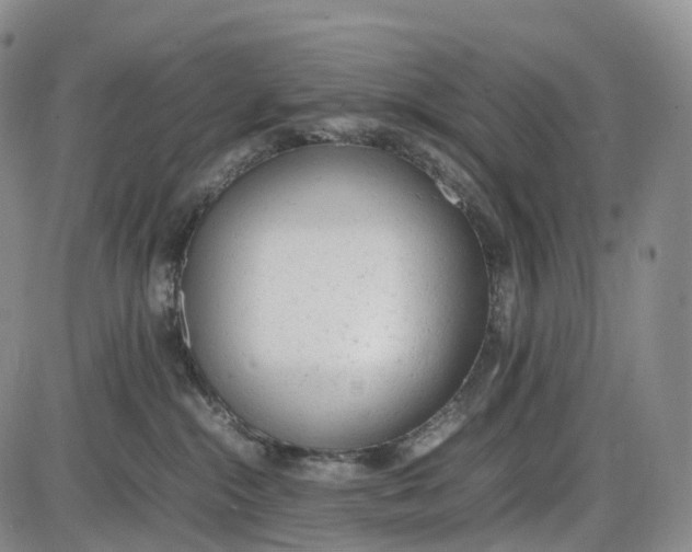 X0000085010284200703261203