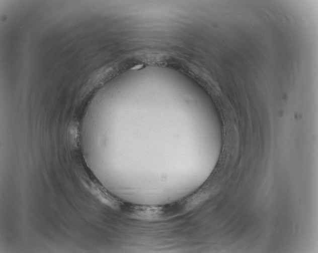 X0000085010288200703261203