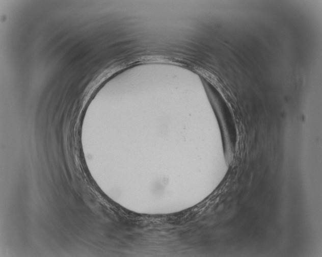 X0000085010289200703261202