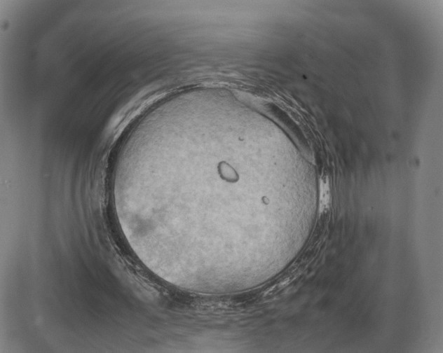 X0000085010291200703261202